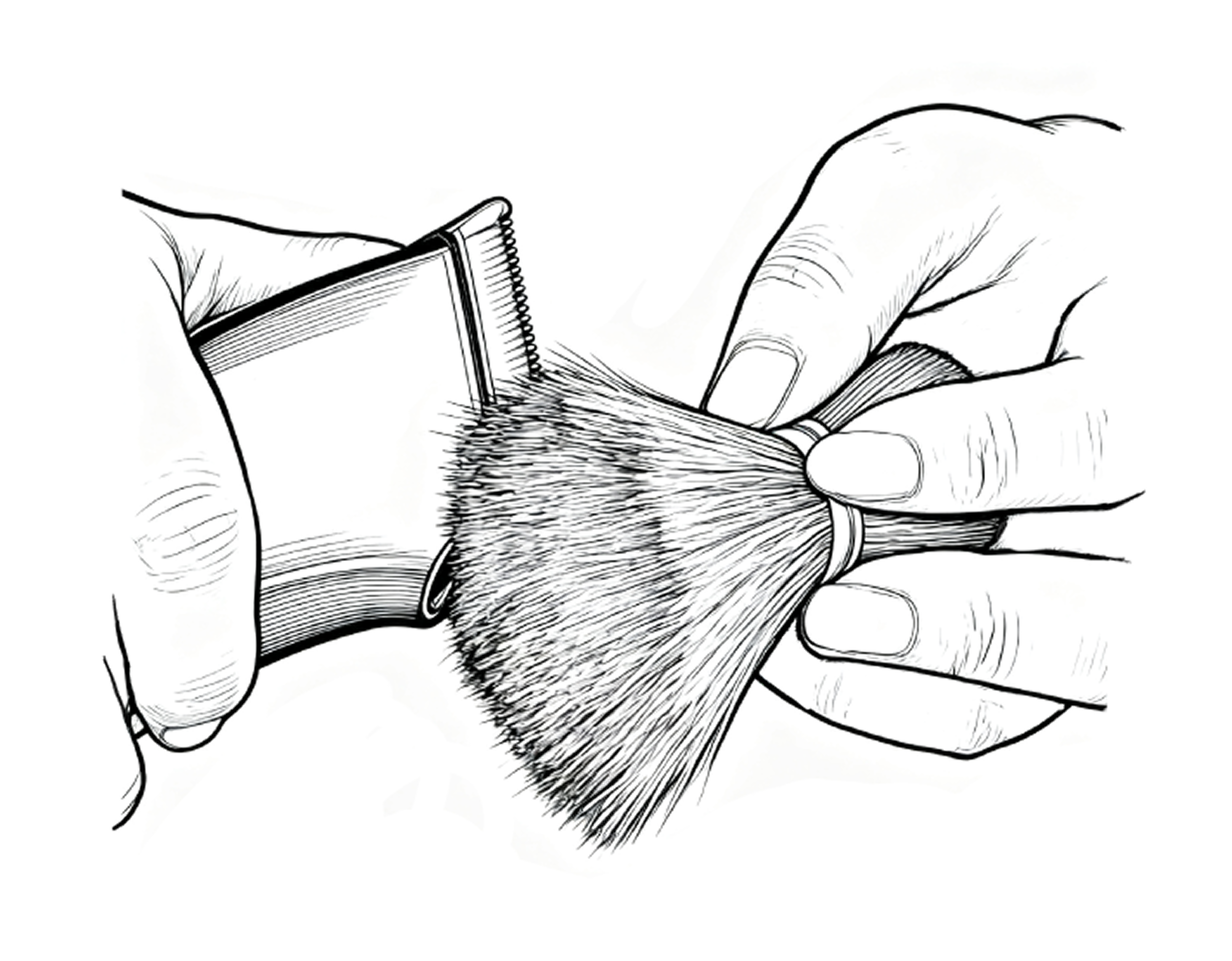 Recorte de Pelo